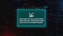 Cập nhật kết quả hoạt động kinh doanh 6 tháng đầu năm 2024 của các doanh nghiệp (20/08/2024)