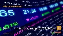 Bản tin thị trường ngày 01/08/2024