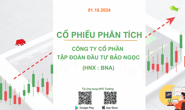 Cổ phiếu phân tích: CTCP Tập đoàn Đầu tư Bảo Ngọc (HNX: BNA)