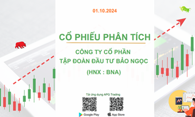 Cổ phiếu phân tích: CTCP Tập đoàn Đầu tư Bảo Ngọc (HNX: BNA)